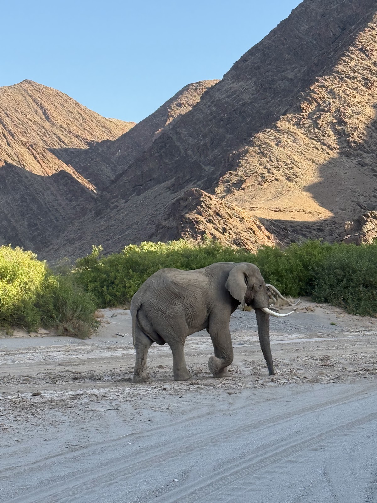 Wild Cherry Adventures — tour operator in 10200, Namibia – photo 6
