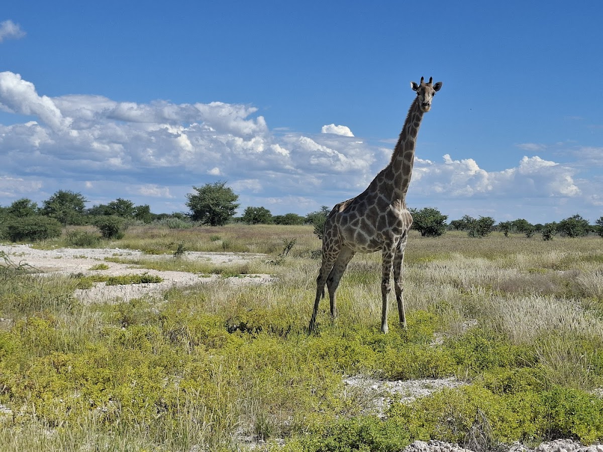Wild Cherry Adventures — tour operator in 10200, Namibia – photo 5