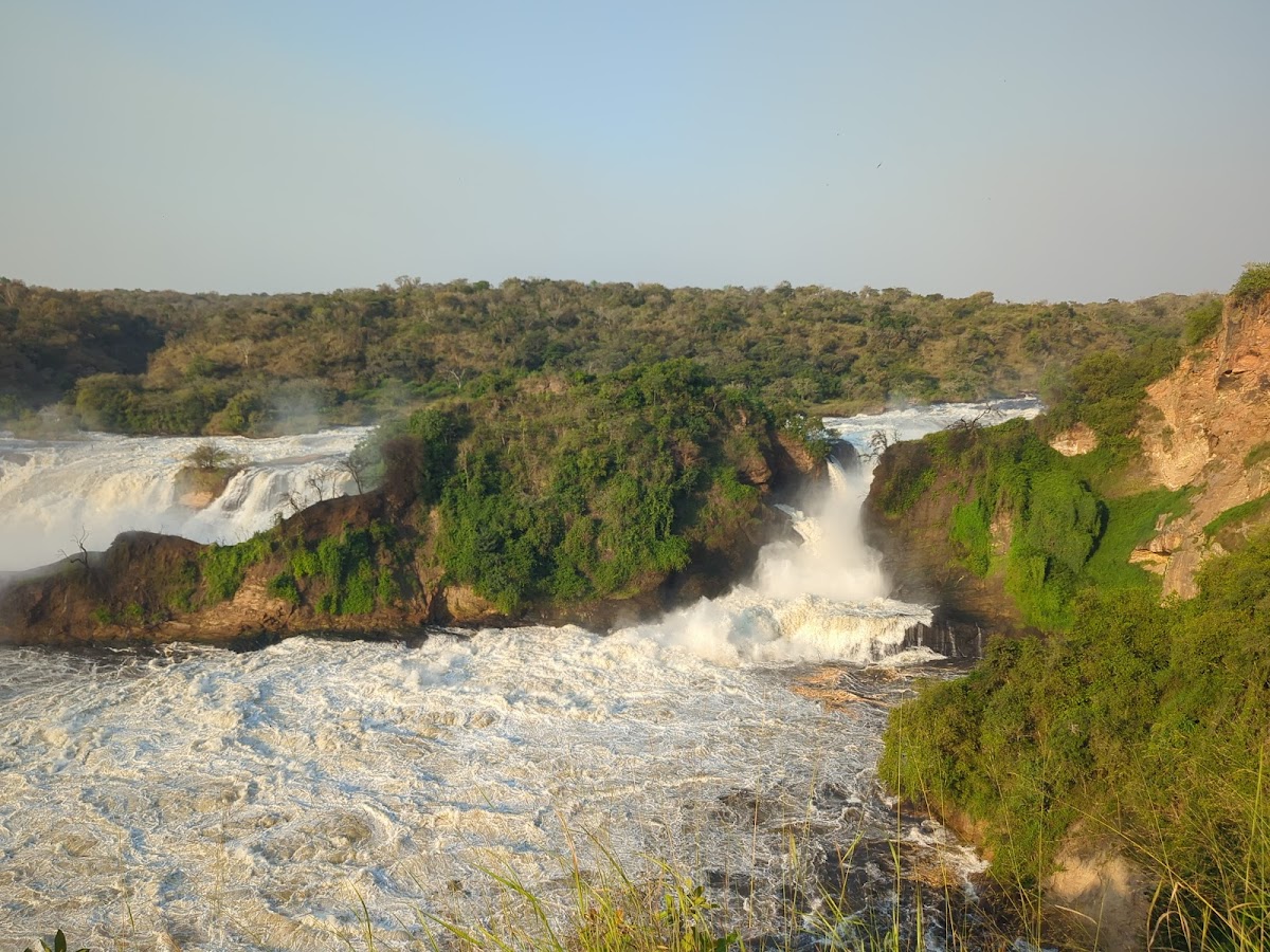 Safari Tour Guide Murchison Falls — tour operator in Market Street, Uganda – photo 3