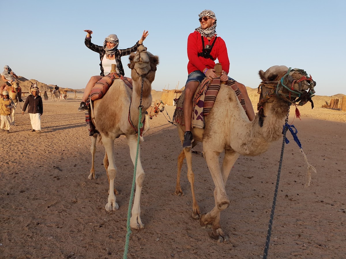 Desert Egypt Safari — tour operator in El Talbia, Egypt – photo 3