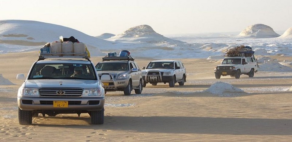Desert Egypt Safari — tour operator in El Talbia, Egypt – photo 1