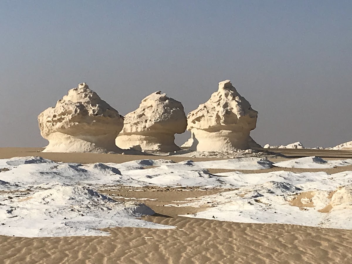Desert Egypt Safari — tour operator in El Talbia, Egypt – photo 4