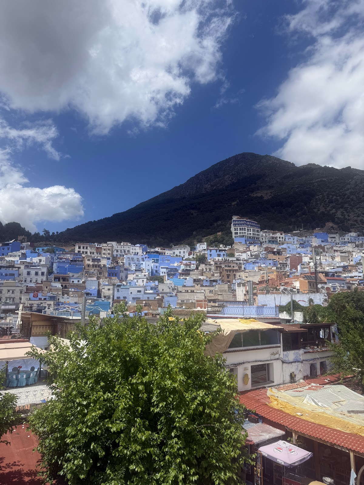 Aisha Morocco Tours — tour operator in 12 Rue M Kamal, Morocco – photo 5