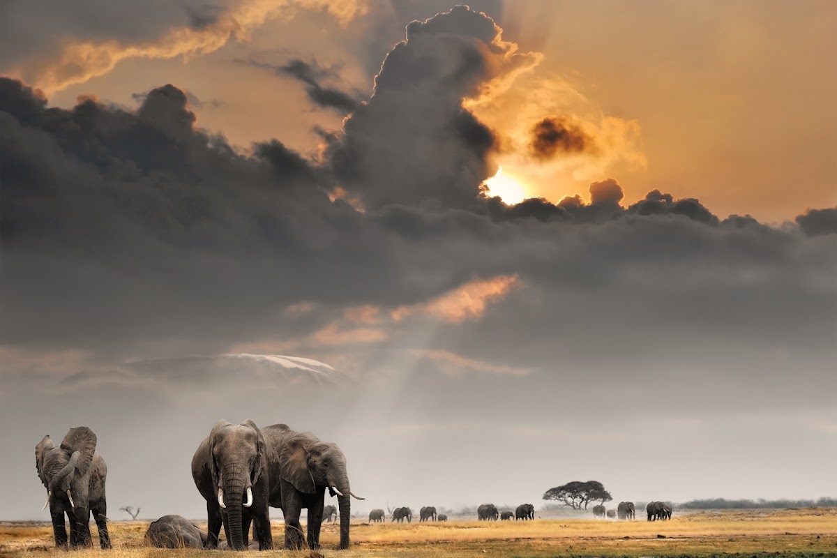 Nomad Africa Tours & Safaris — tour operator in Cape Town, South Africa – photo 1