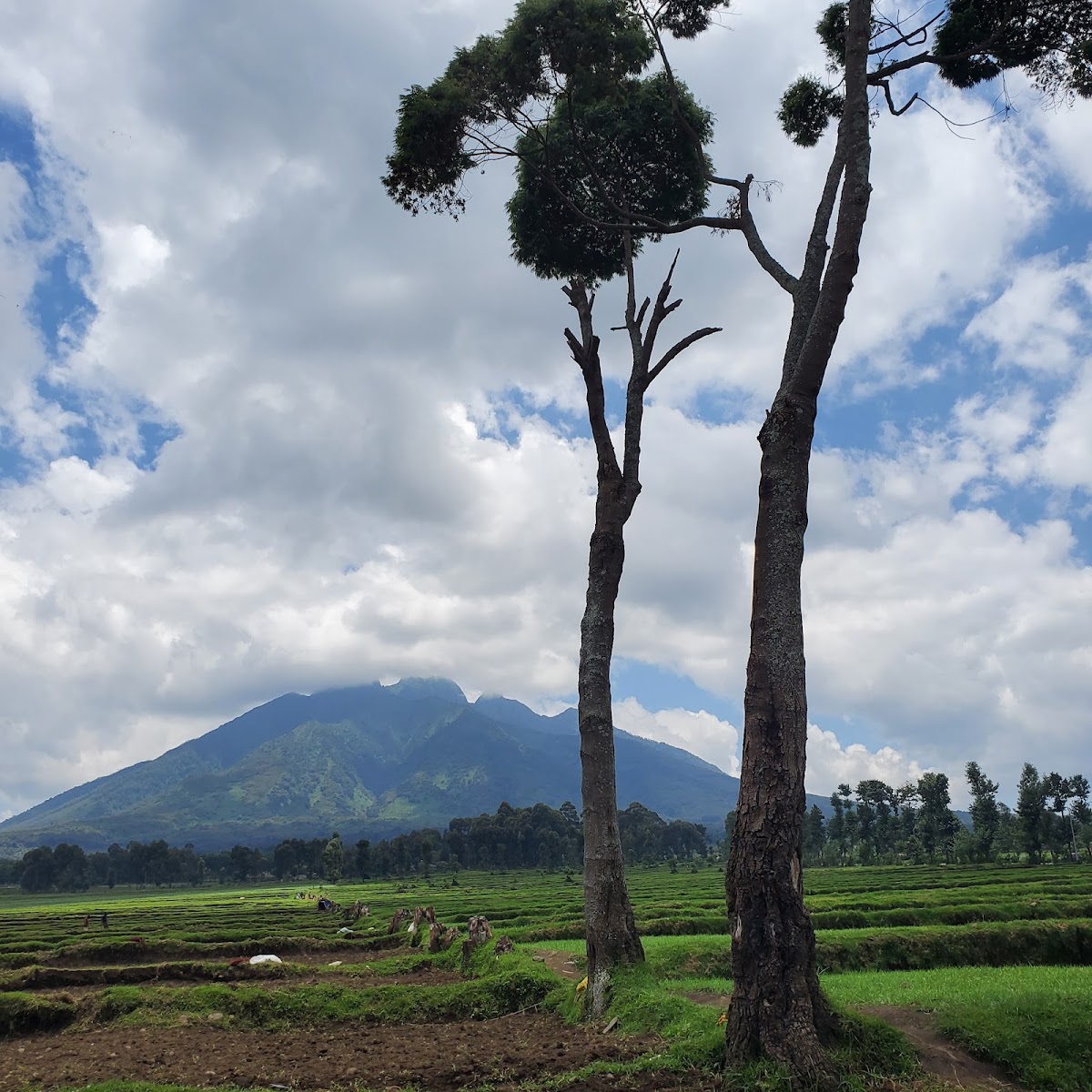 Better Land Rwanda Tours Ltd — tour operator in NM 218 Street, Rwanda – photo 6