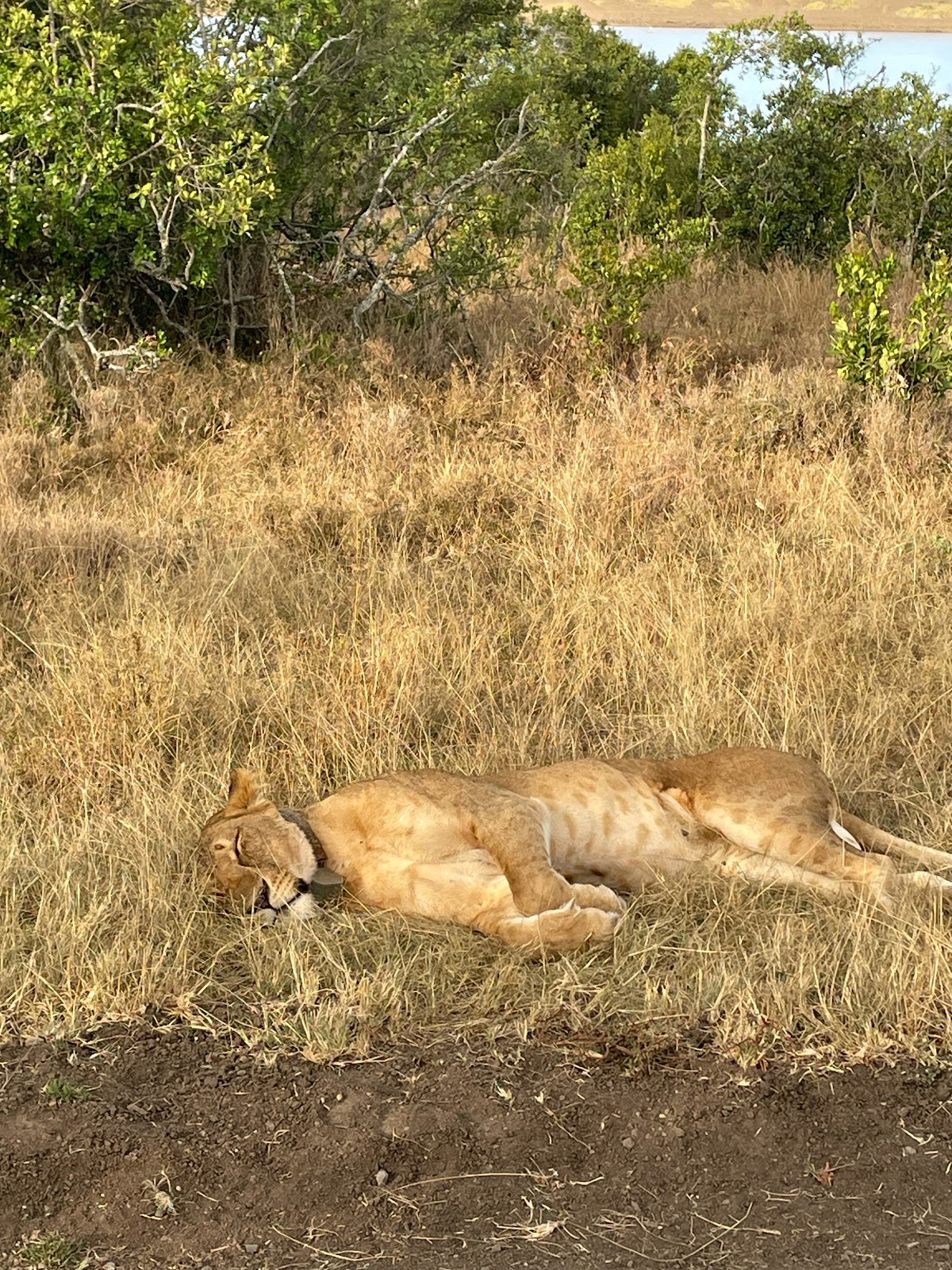 Nature's Wonderland Safaris Kenya — tour operator in Portal Place, Kenya – photo 6
