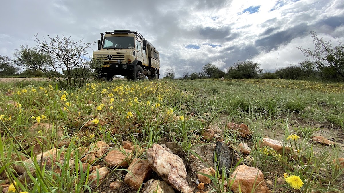Cheetah Tours & Safaris Namibia — tour operator in 3-7 Arians Street, Namibia – photo 5
