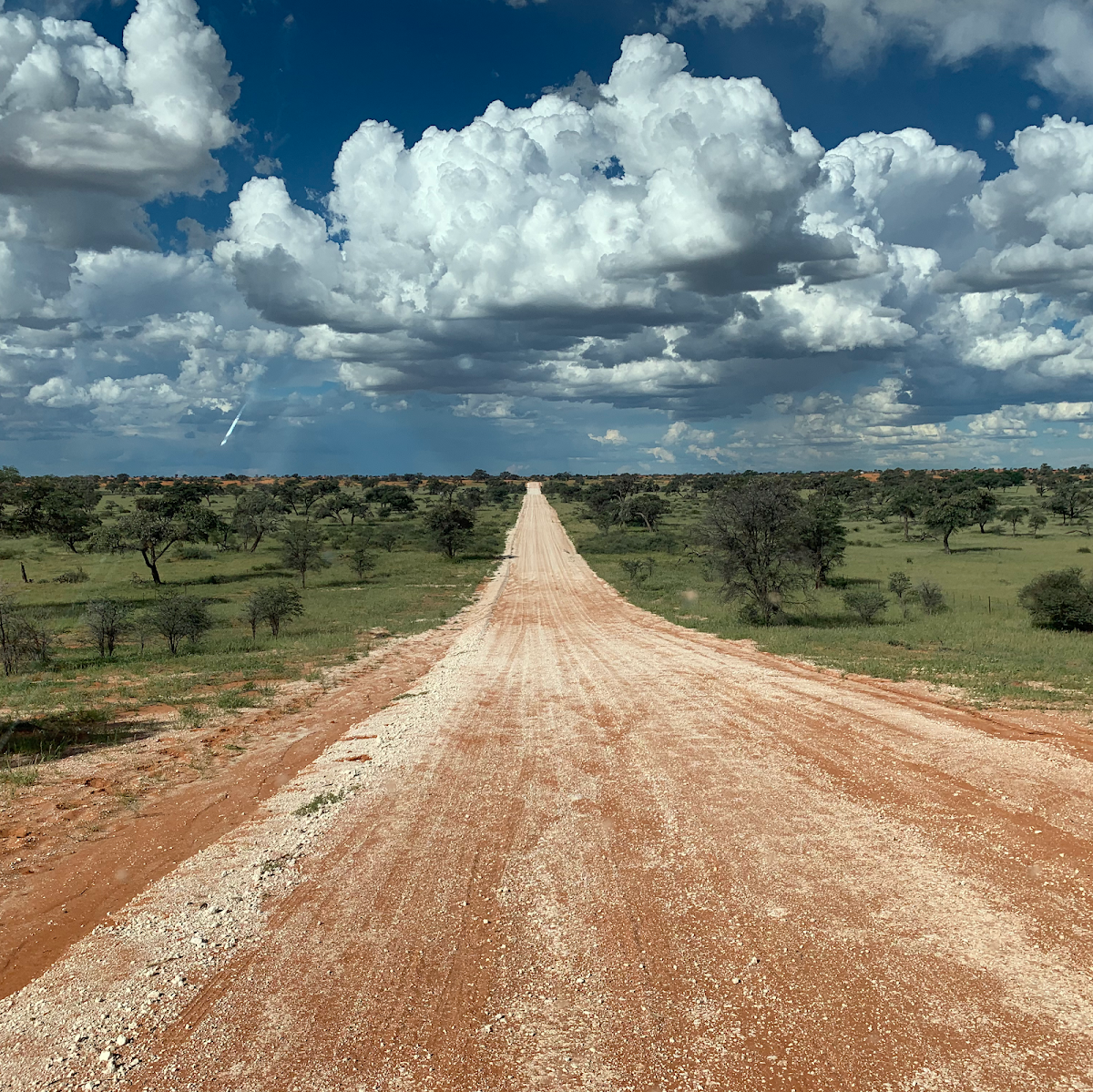 Cheetah Tours & Safaris Namibia — tour operator in 3-7 Arians Street, Namibia – photo 3