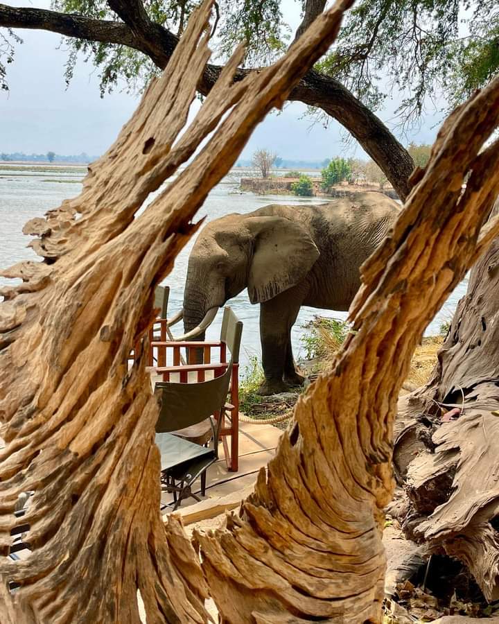 Africa Passions Travel — tour operator in 2FPJ+GJ, Botswana – photo 1
