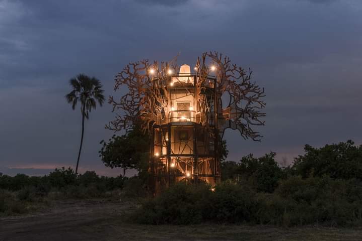 Africa Passions Travel — tour operator in 2FPJ+GJ, Botswana – photo 6