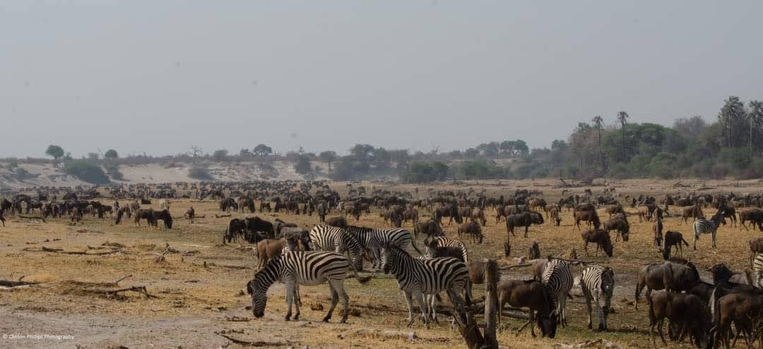 Africa Passions Travel — tour operator in 2FPJ+GJ, Botswana – photo 4