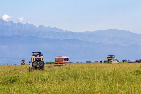 World spice tour guide uganda ltd — tour operator in 108y Ntinda Kigowa Rd, Uganda – photo 4