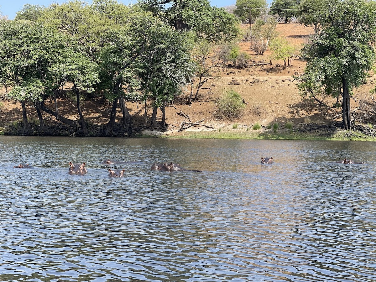 Fuhara Safaris — tour operator in metcalf Rd, Zimbabwe – photo 2