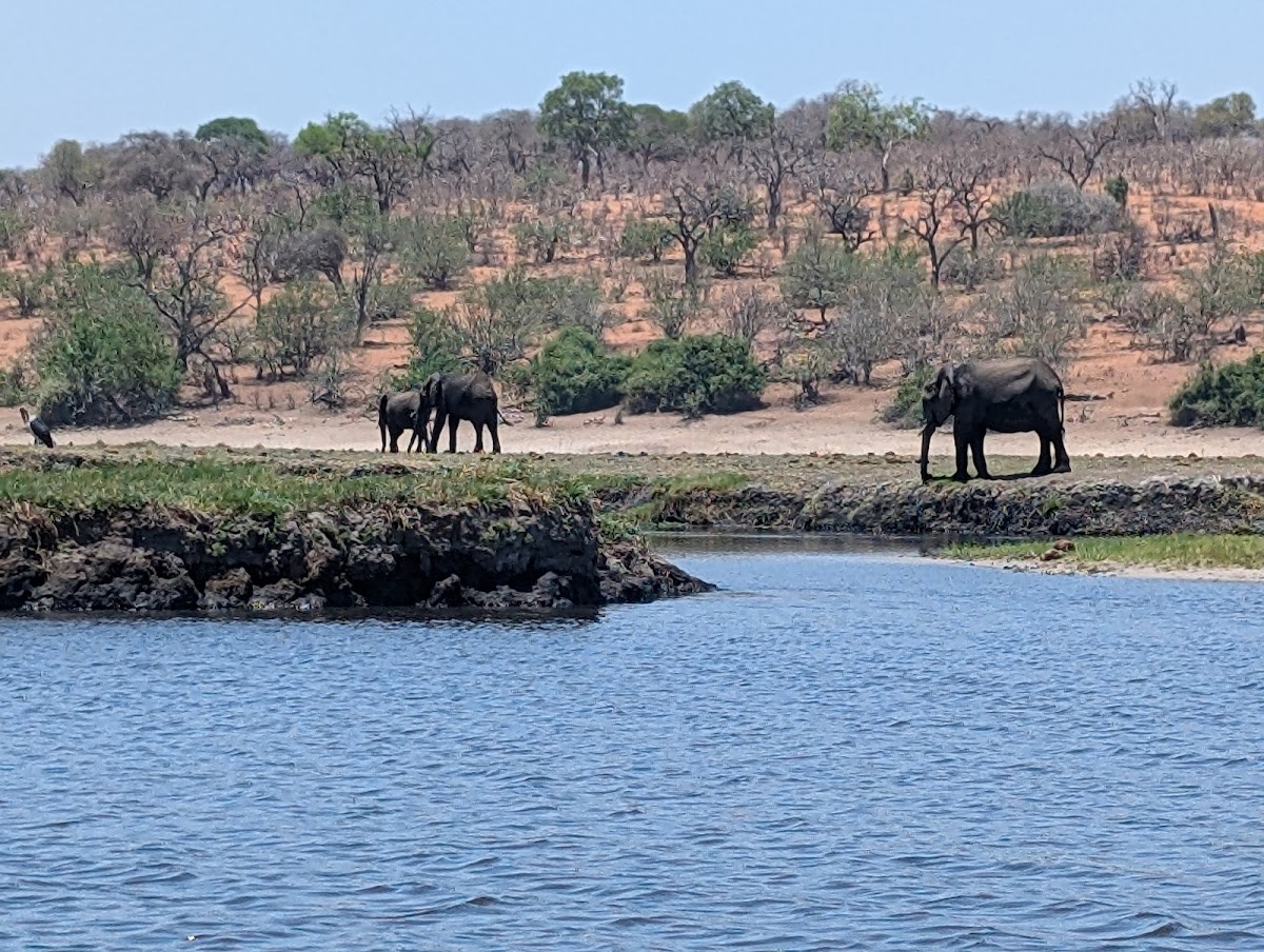 Fuhara Safaris — tour operator in metcalf Rd, Zimbabwe – photo 1