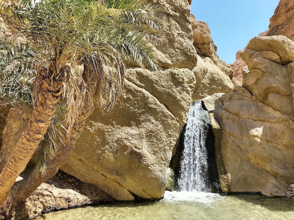 Tacapes Tours DMC — tour operator in 105 Rue Farhat Hachad, Tunisia – photo 4
