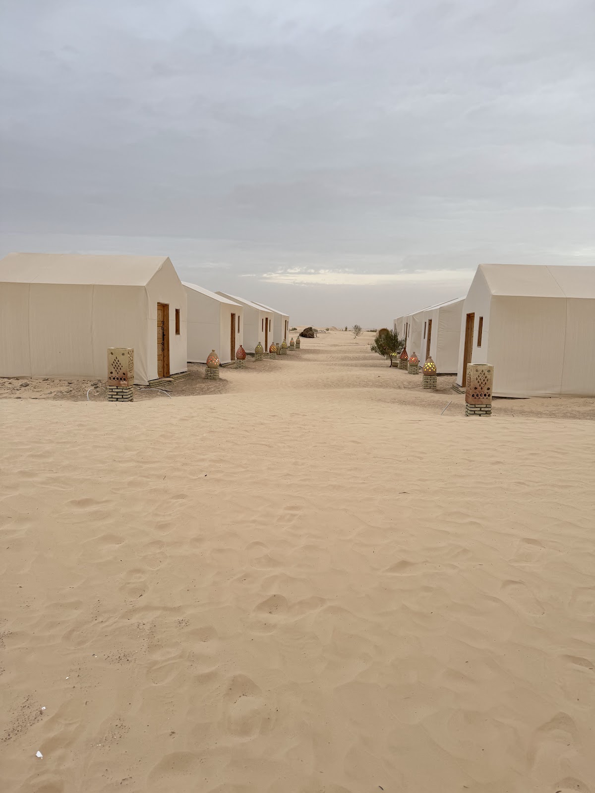 Depart Travel Services - Tunisie — tour operator in VX5C+RVJ, Tunisia – photo 3