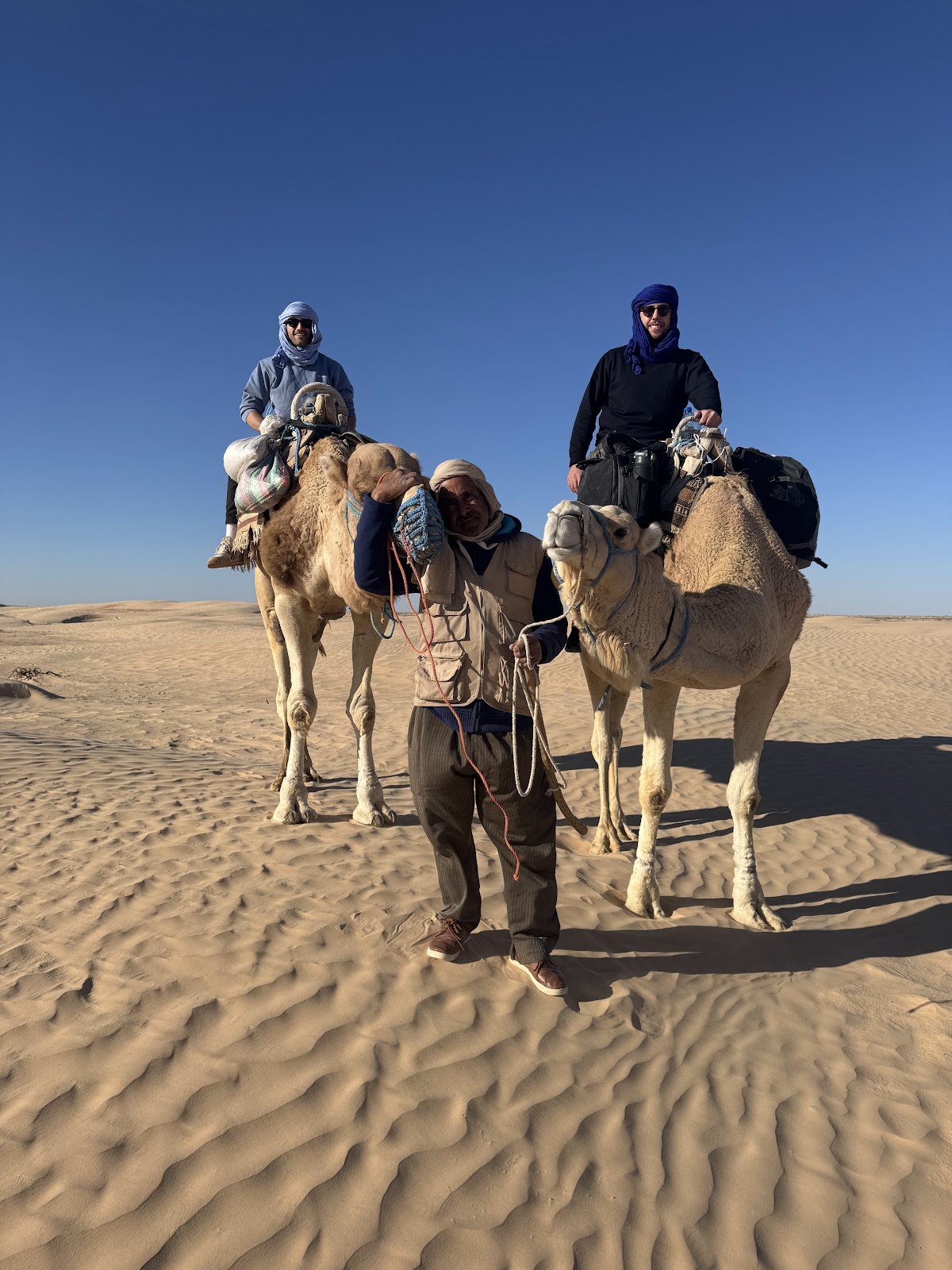 Sahara Tunisia Camel Trek Douz — tour operator in Souk, Tunisia – photo 2