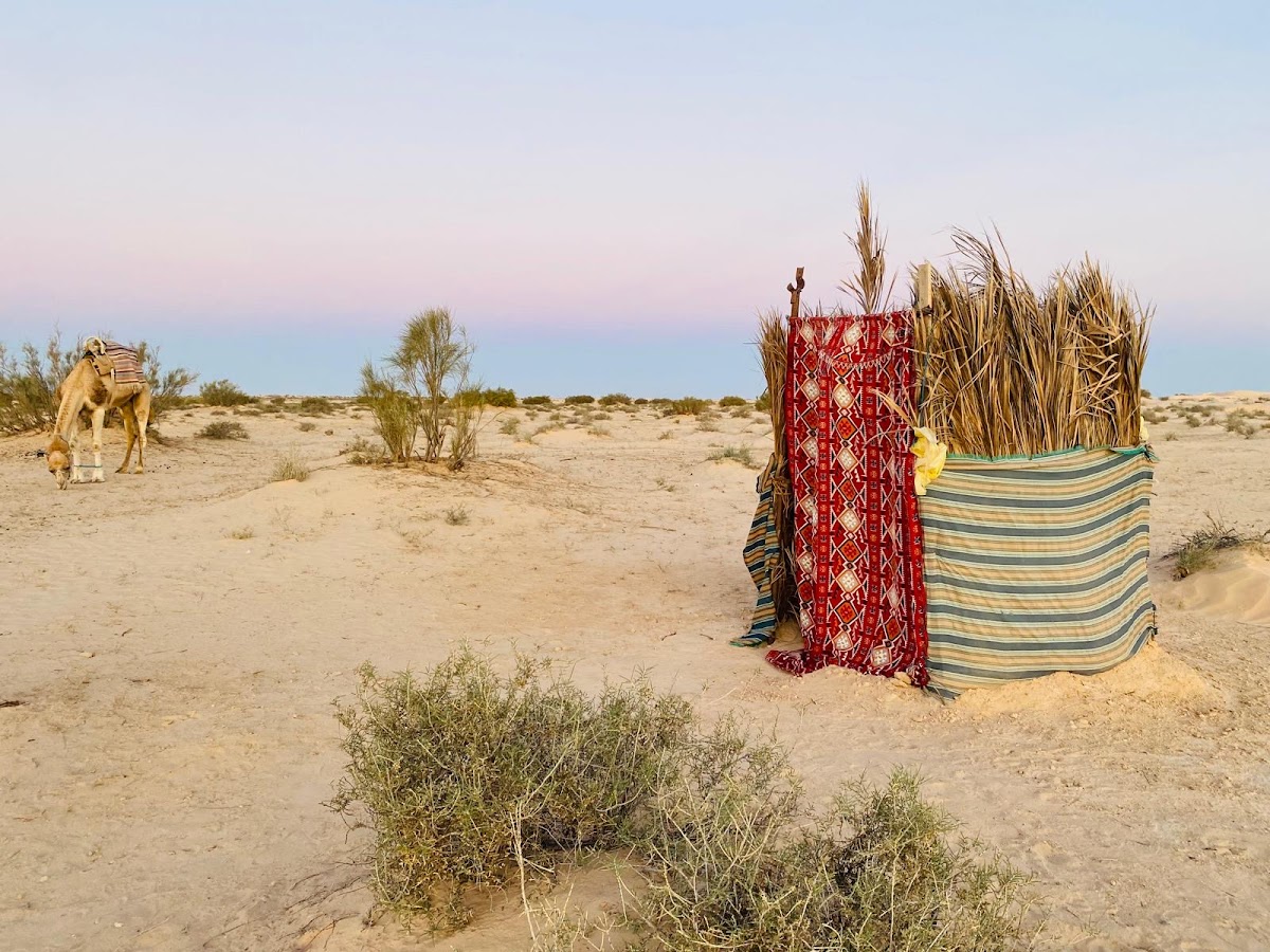 Sahara Tunisia Camel Trek Douz — tour operator in Souk, Tunisia – photo 6