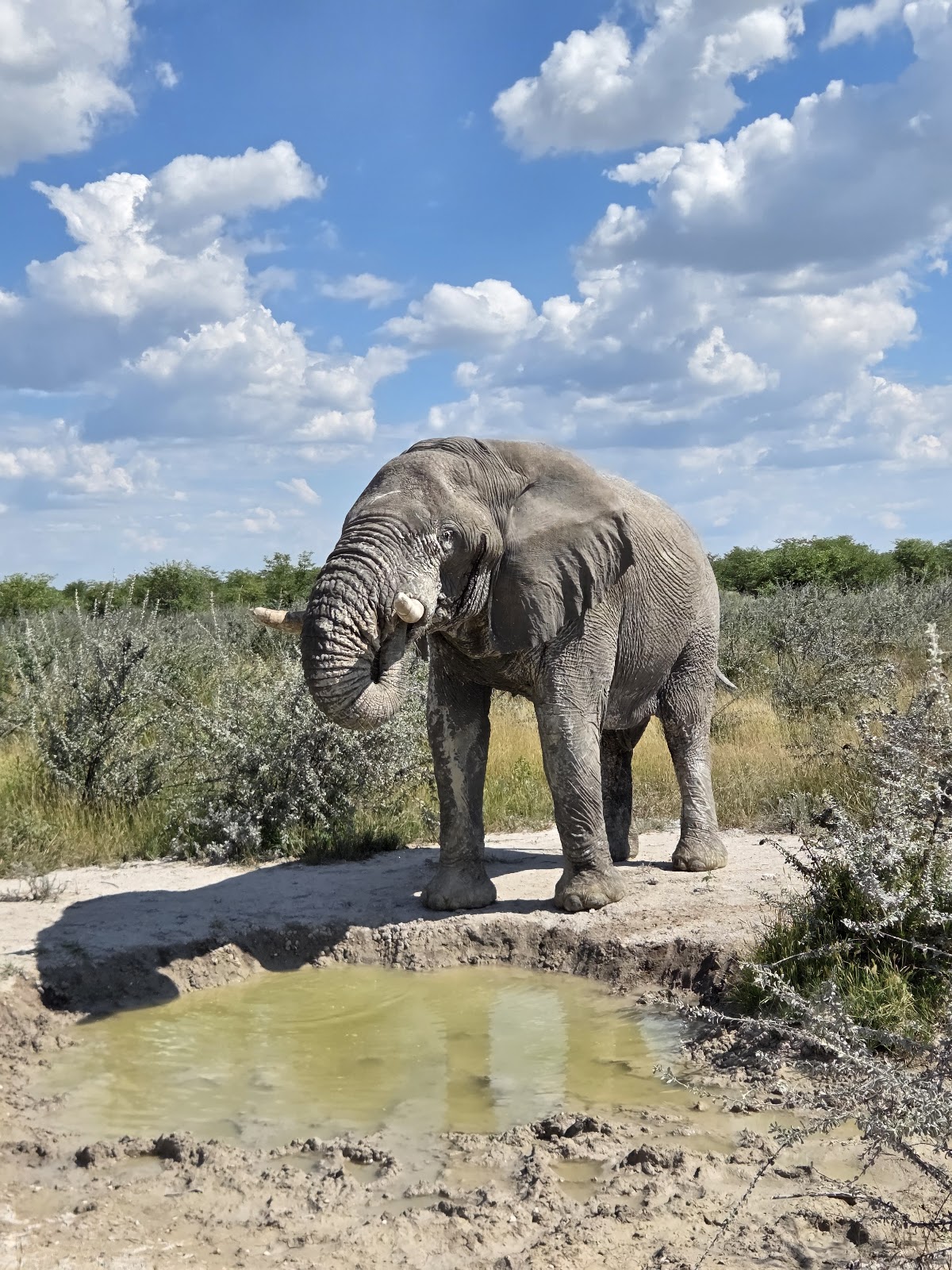 Motema Tours and Safaris Namibia — tour operator in 60 Marconi Street, Namibia – photo 3