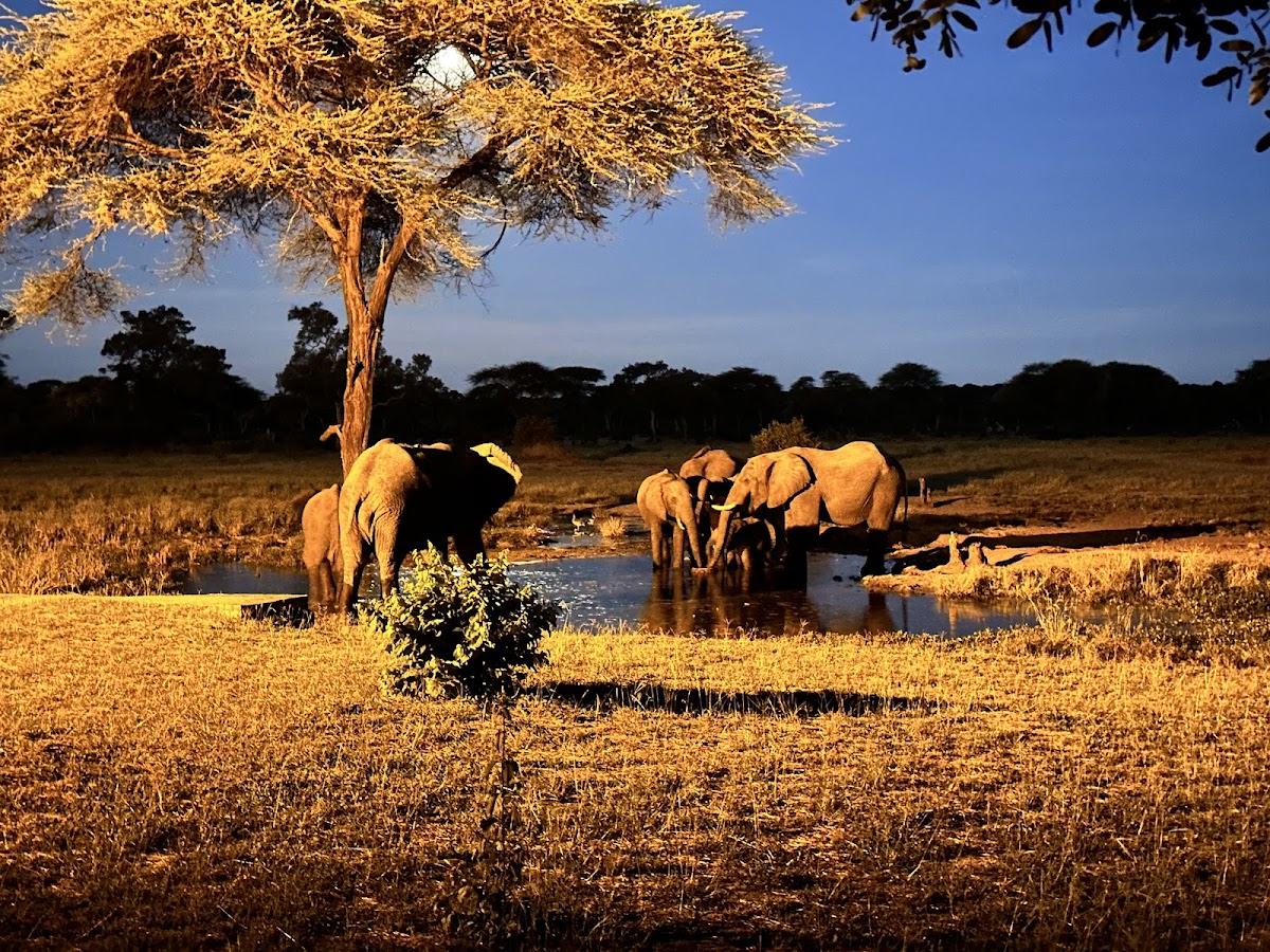 Motema Tours and Safaris Namibia — tour operator in 60 Marconi Street, Namibia – photo 5
