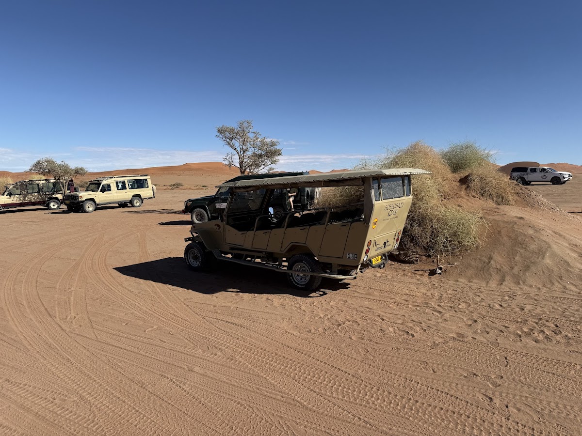 Motema Tours and Safaris Namibia — tour operator in 60 Marconi Street, Namibia – photo 2