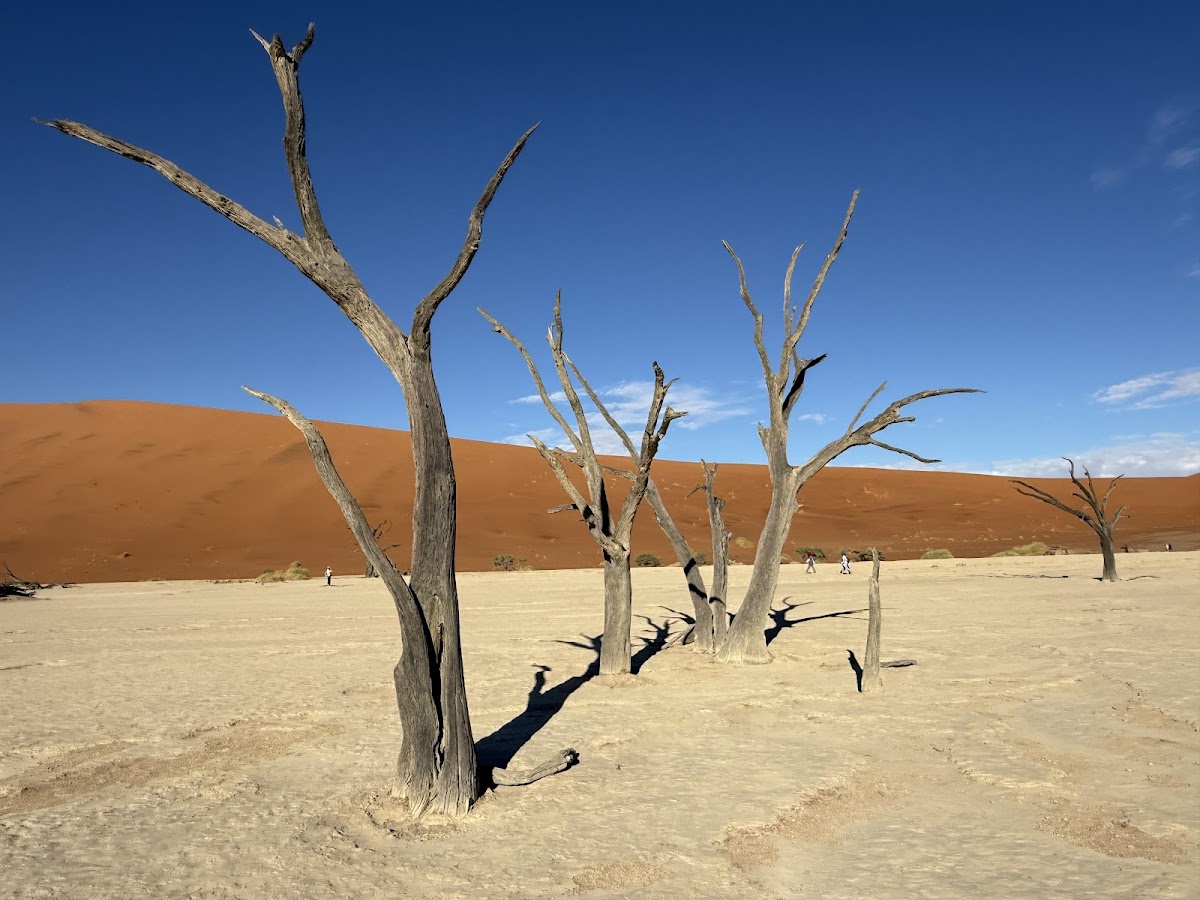 Motema Tours and Safaris Namibia — tour operator in 60 Marconi Street, Namibia – photo 4