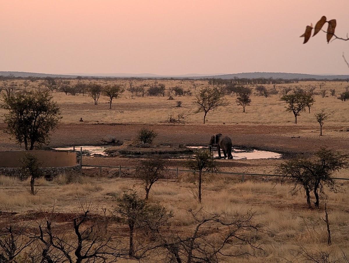 Desert Tracks Bookings & Safaris — tour operator in 13001, Namibia – photo 4