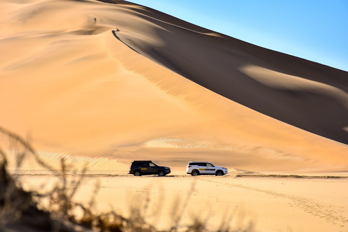 Desert Tracks Bookings & Safaris — tour operator in 13001, Namibia – photo 2