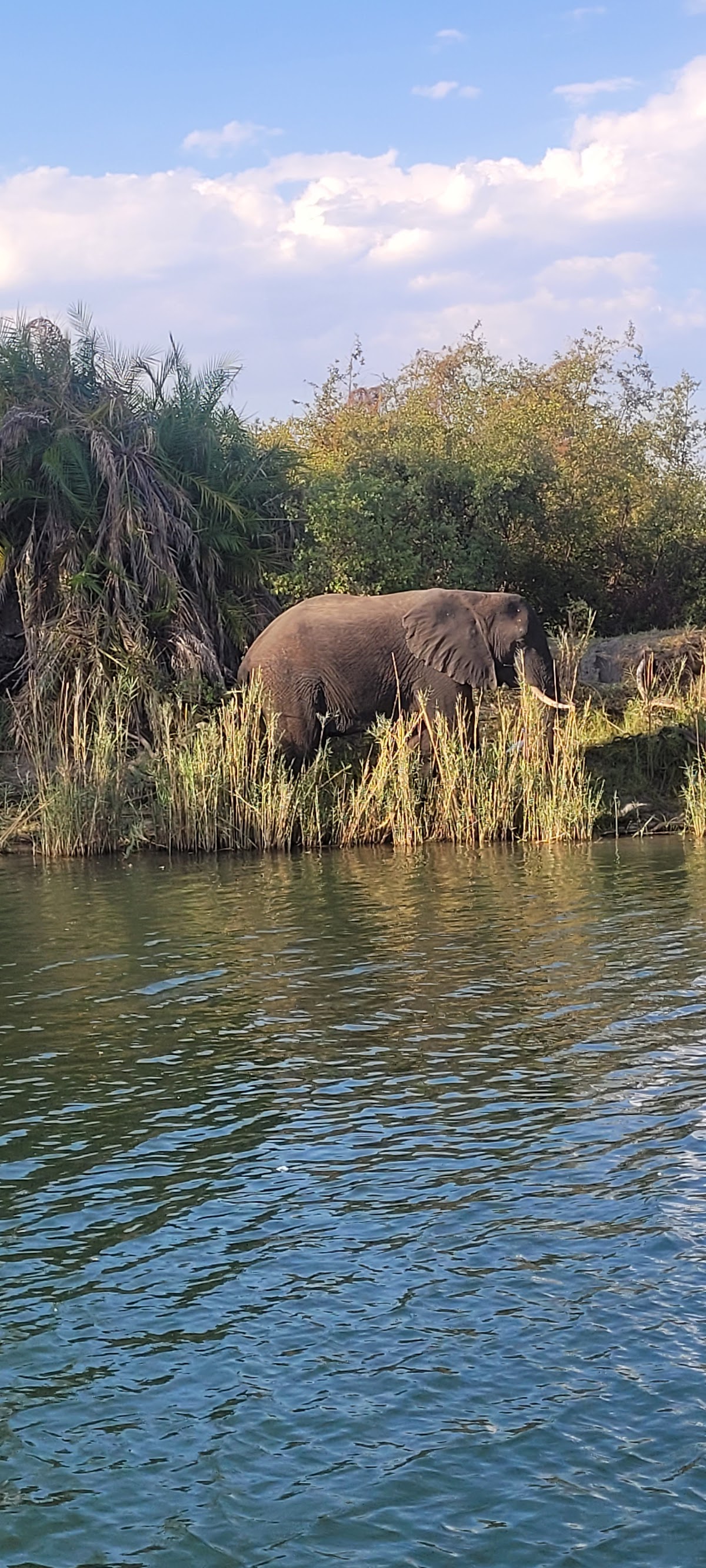Falcon Safaris — tour operator in 545 Reynard Rd, Zimbabwe – photo 2