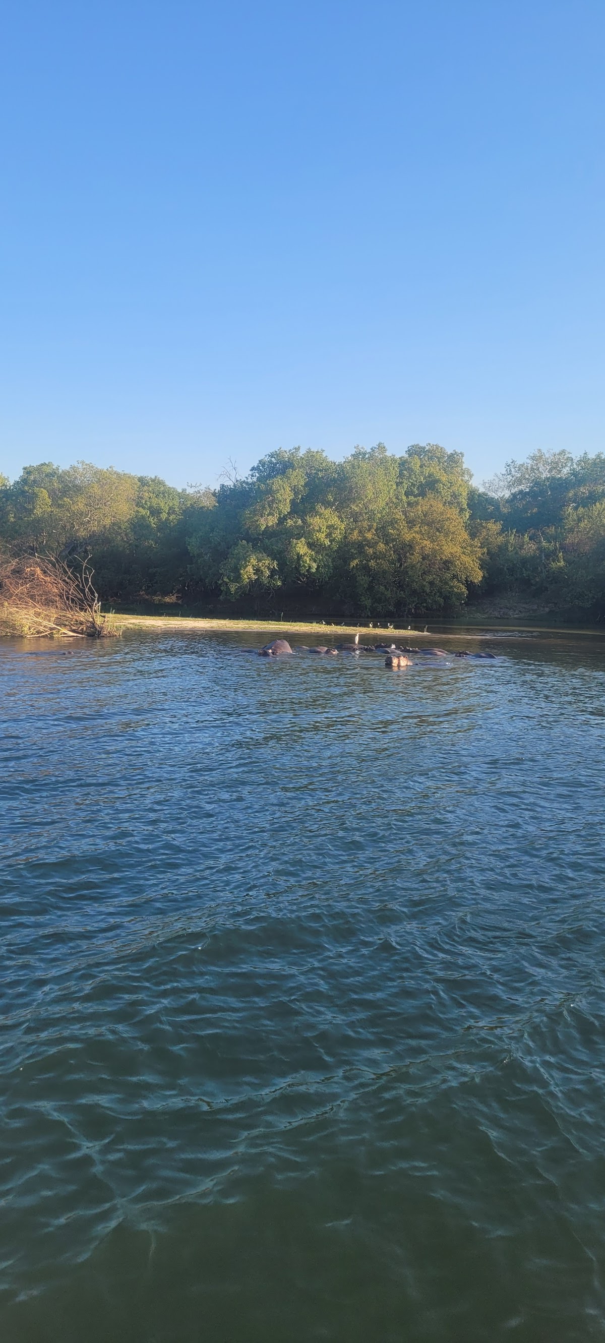 Falcon Safaris — tour operator in 545 Reynard Rd, Zimbabwe – photo 1