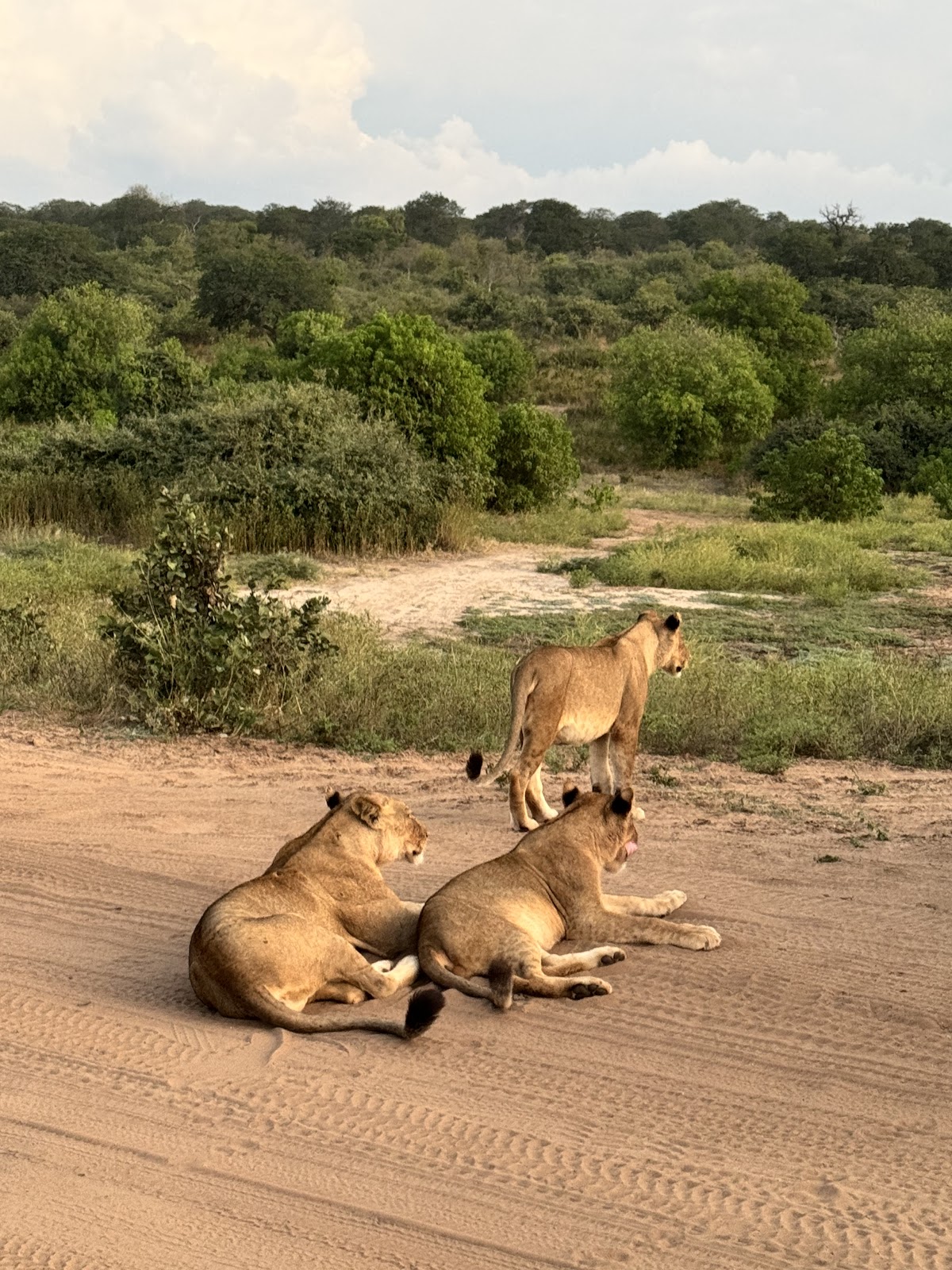 DK Tours and Safaris — tour operator in 258C Adam Stander Dr, Zimbabwe – photo 5