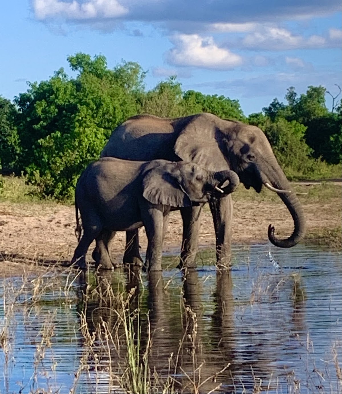 DK Tours and Safaris — tour operator in 258C Adam Stander Dr, Zimbabwe – photo 3