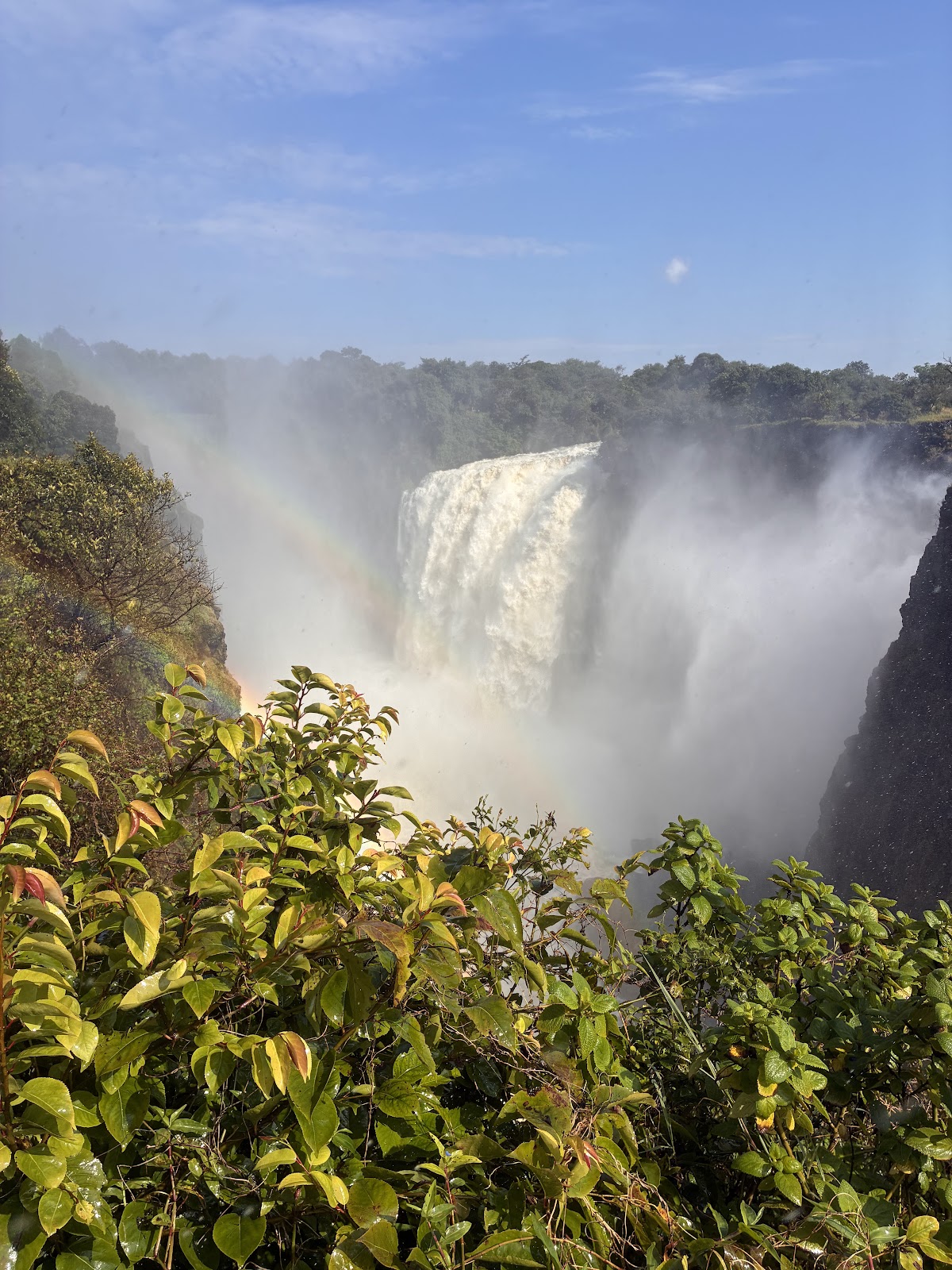 DK Tours and Safaris — tour operator in 258C Adam Stander Dr, Zimbabwe – photo 2