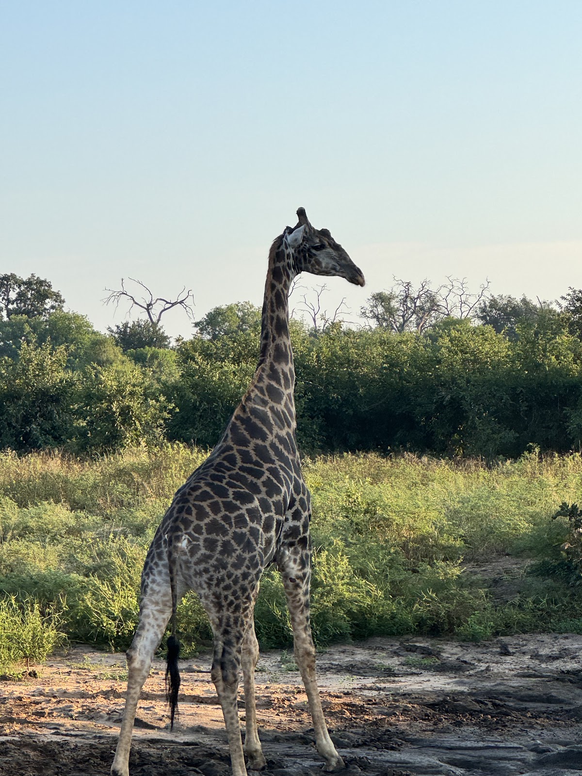 DK Tours and Safaris — tour operator in 258C Adam Stander Dr, Zimbabwe – photo 4
