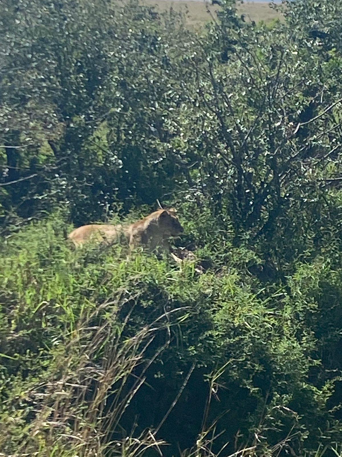 Exodus Safaris Tour Operator & Travel Agency Nairobi | All Kenya & Africa Safaris, Vacations & Beach Holidays — tour operator in Mombasa Road, Kenya – photo 3