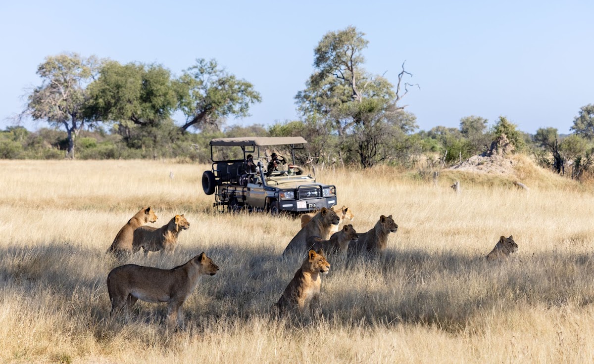 The African Safari Guru Travel Company ~ Safari Destinations Specialist Travel Designer ( — tour operator in Komatipoort, South Africa – photo 4