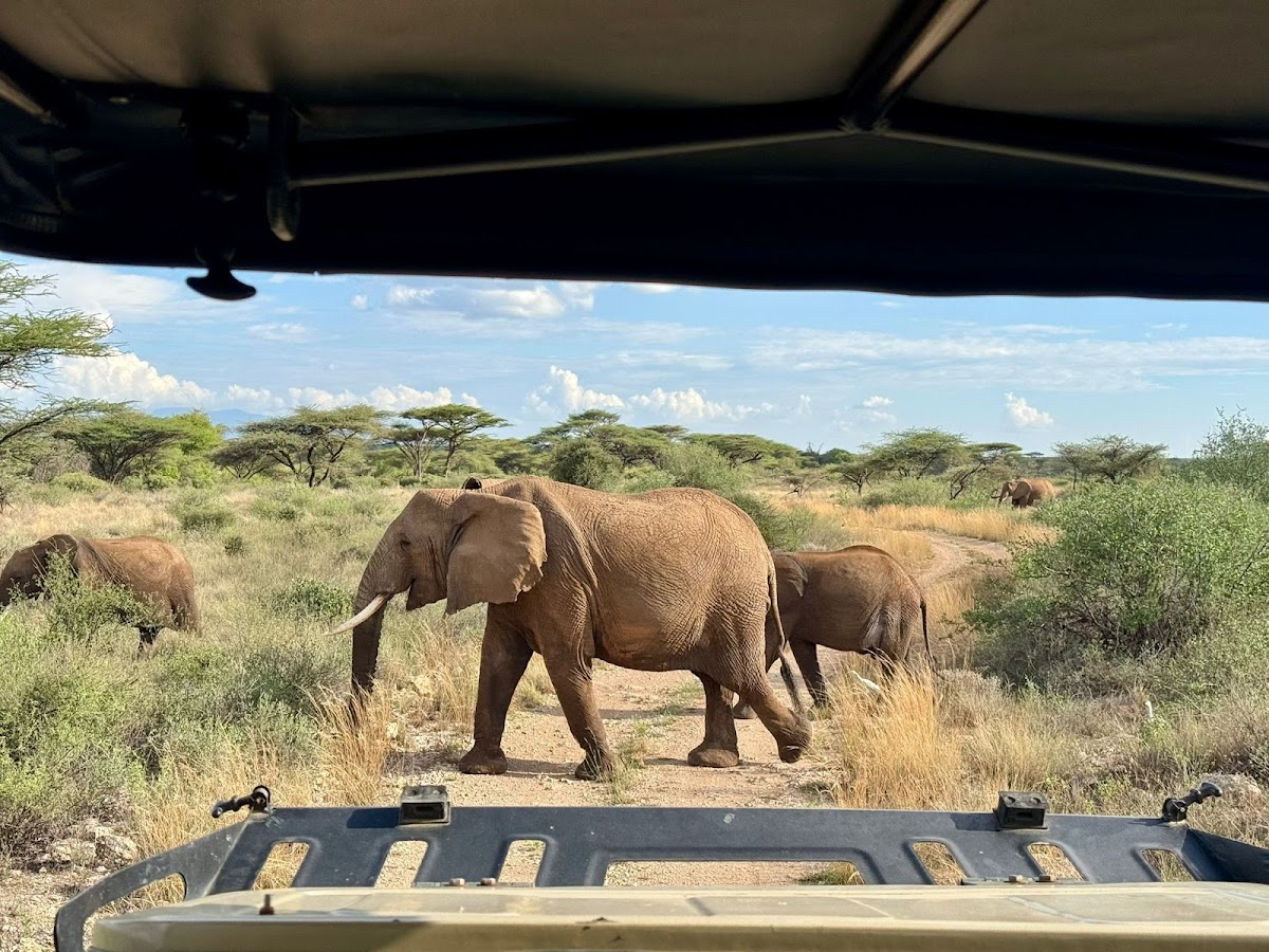 Mufasa Tours and Travels — tour operator in USIU Rd, Kenya – photo 4