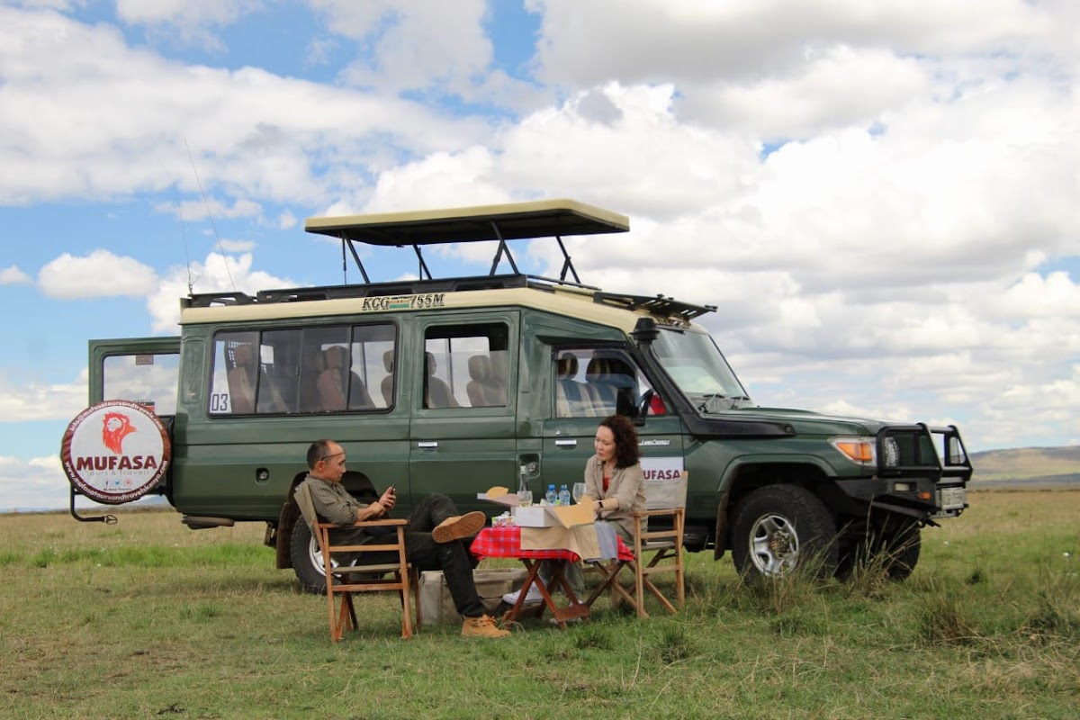 Mufasa Tours and Travels — tour operator in USIU Rd, Kenya – photo 1