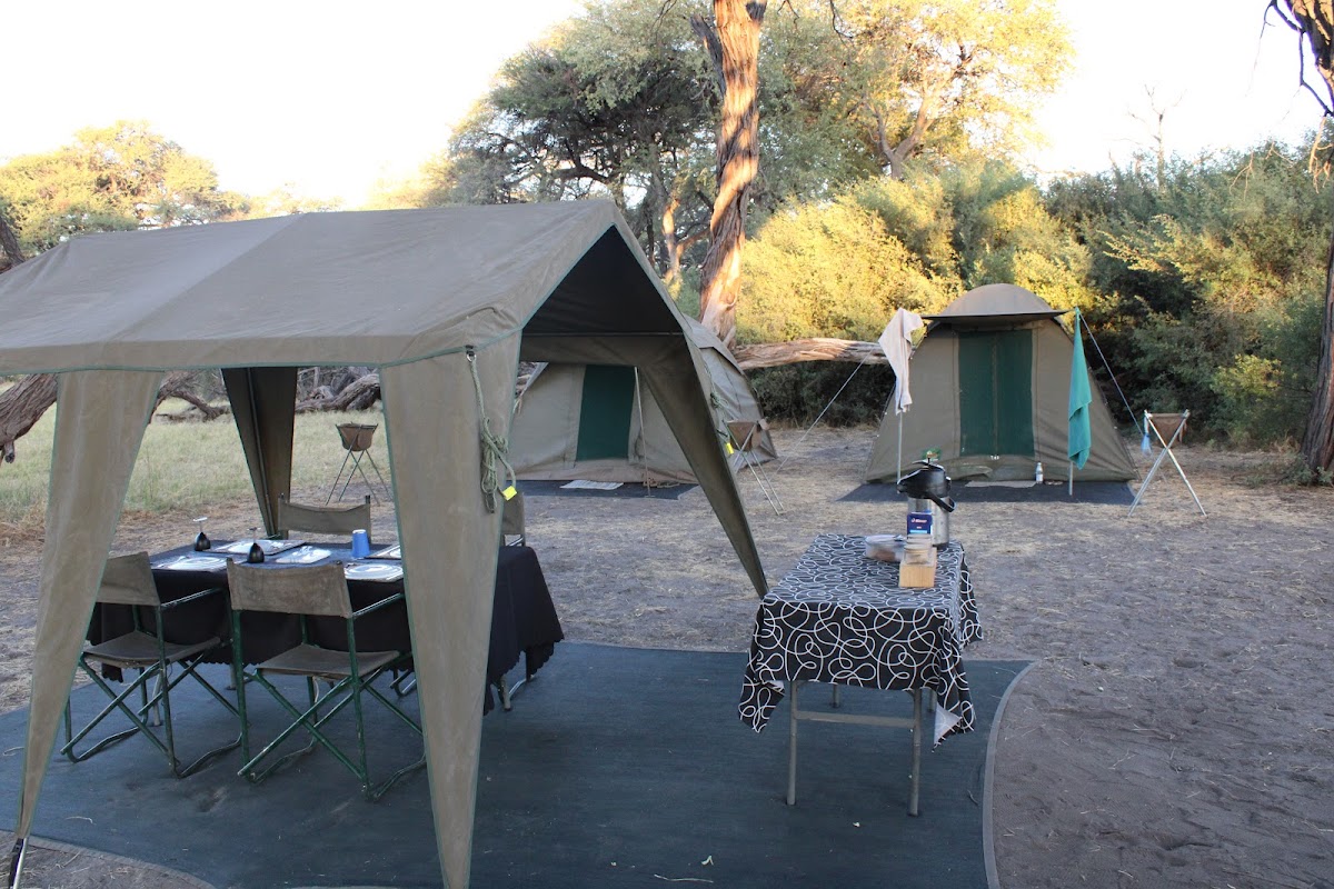 Shipungo Safari & Tours — tour operator in Sir Seretse Khama Rd, Botswana – photo 6