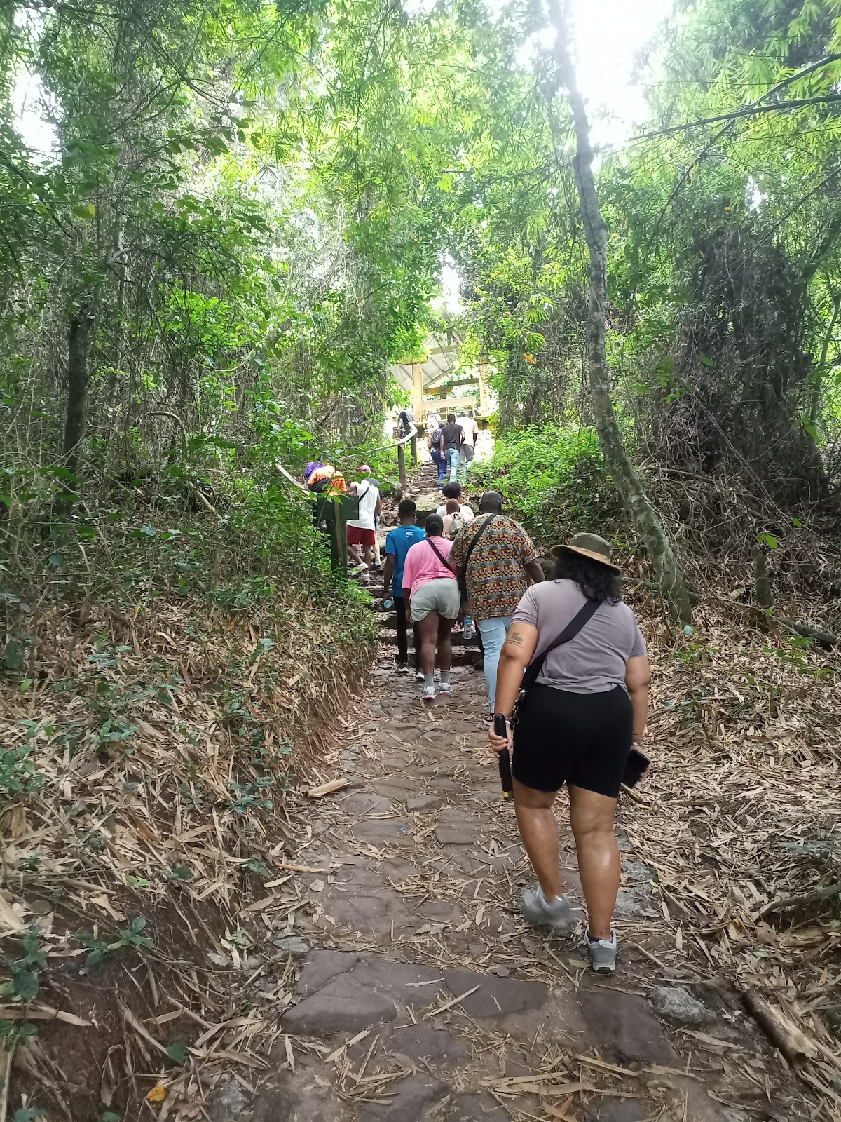 Best Ghana Tours — tour operator in 131 La Beach Road, Ghana – photo 1