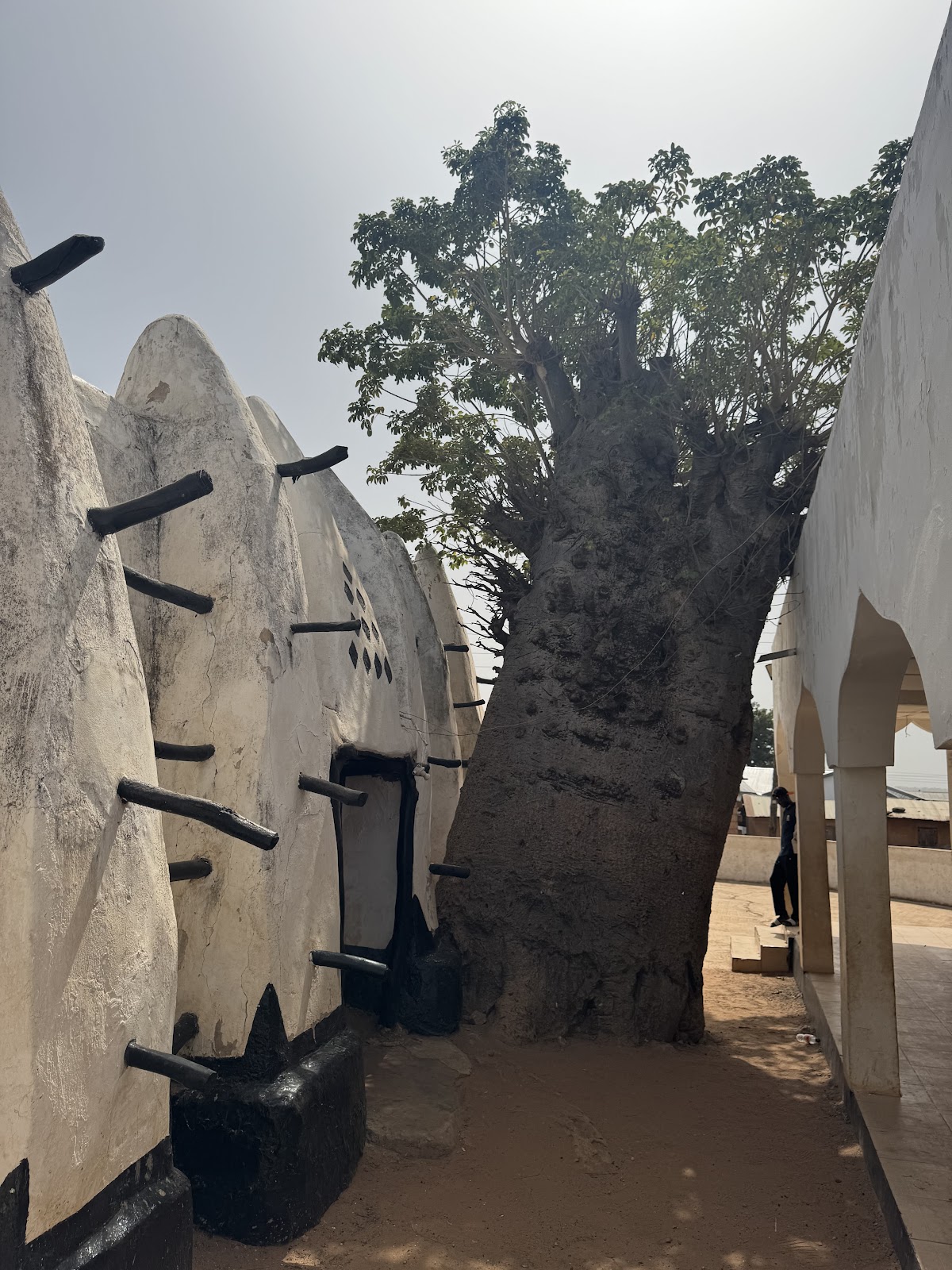 Best Ghana Tours — tour operator in 131 La Beach Road, Ghana – photo 4