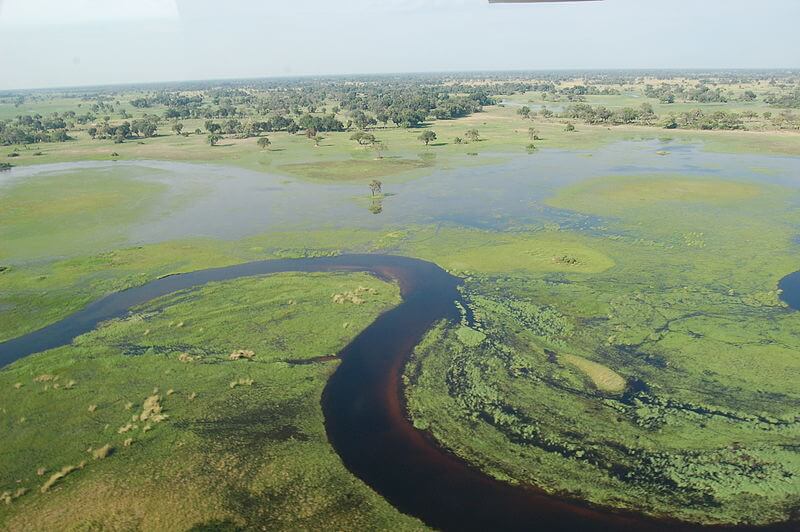 Adventure Safaris — tour operator in Kgale Mews, Botswana – photo 4