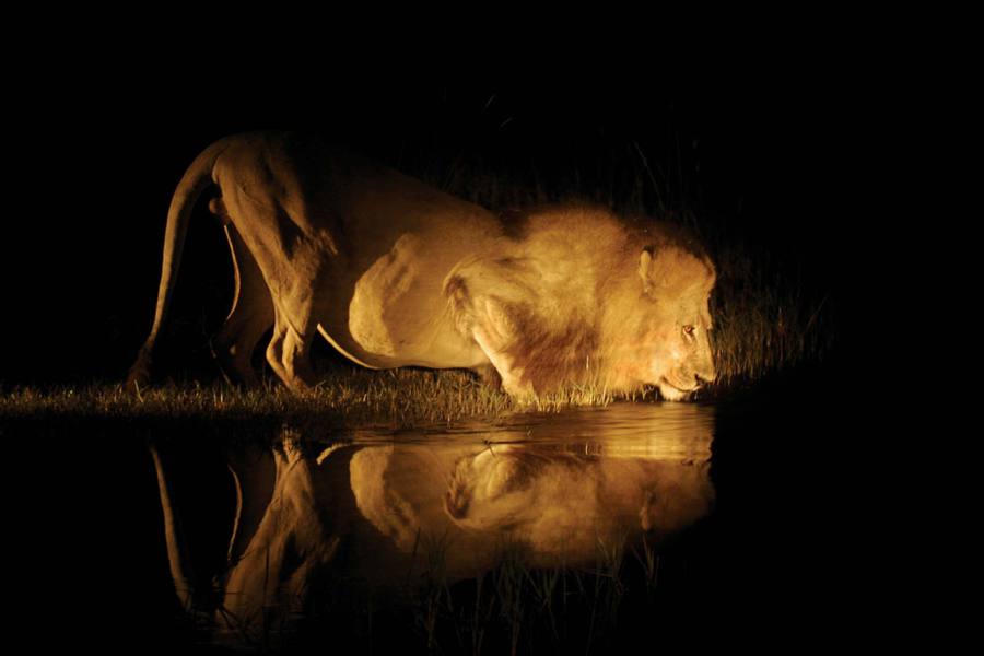 Adventure Safaris — tour operator in Kgale Mews, Botswana – photo 1