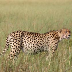 Adventure Safaris — tour operator in Kgale Mews, Botswana – photo 6