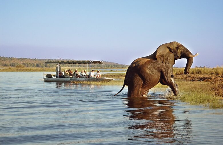Adventure Safaris — tour operator in Kgale Mews, Botswana – photo 2