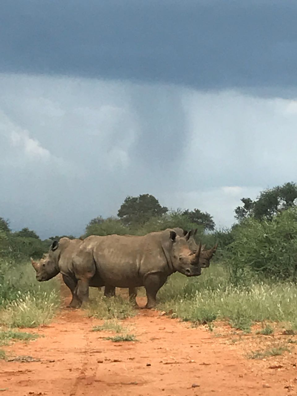 Adventure Safaris — tour operator in Kgale Mews, Botswana – photo 5