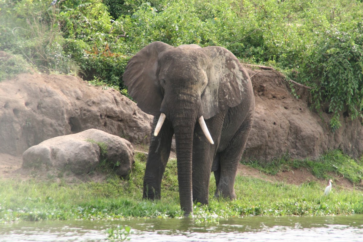 Let’s Go Travel Uganda — tour operator in Plot 17 Faraday Rd, Uganda – photo 4