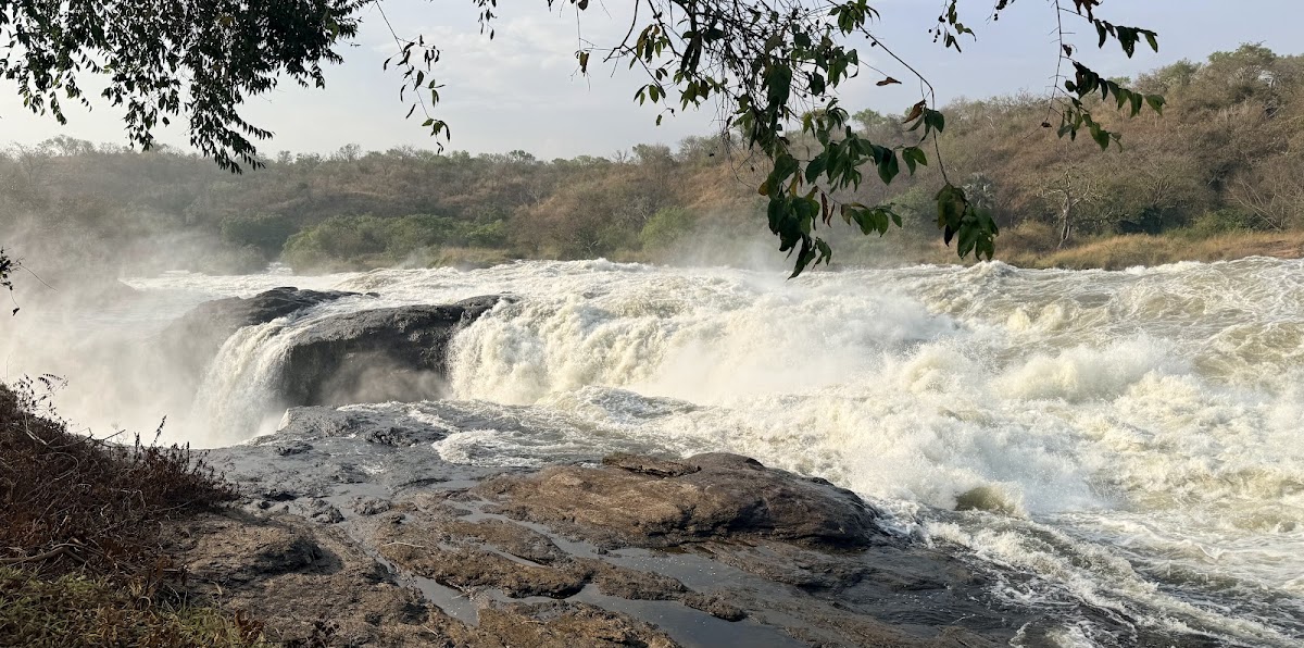 Africa Adventure Vacations | Best Gorilla Tracking Company in Uganda & Rwanda | Bird watching Uganda | Uganda Safaris | — tour operator in Plot 85 Kanjokya St, Uganda – photo 6