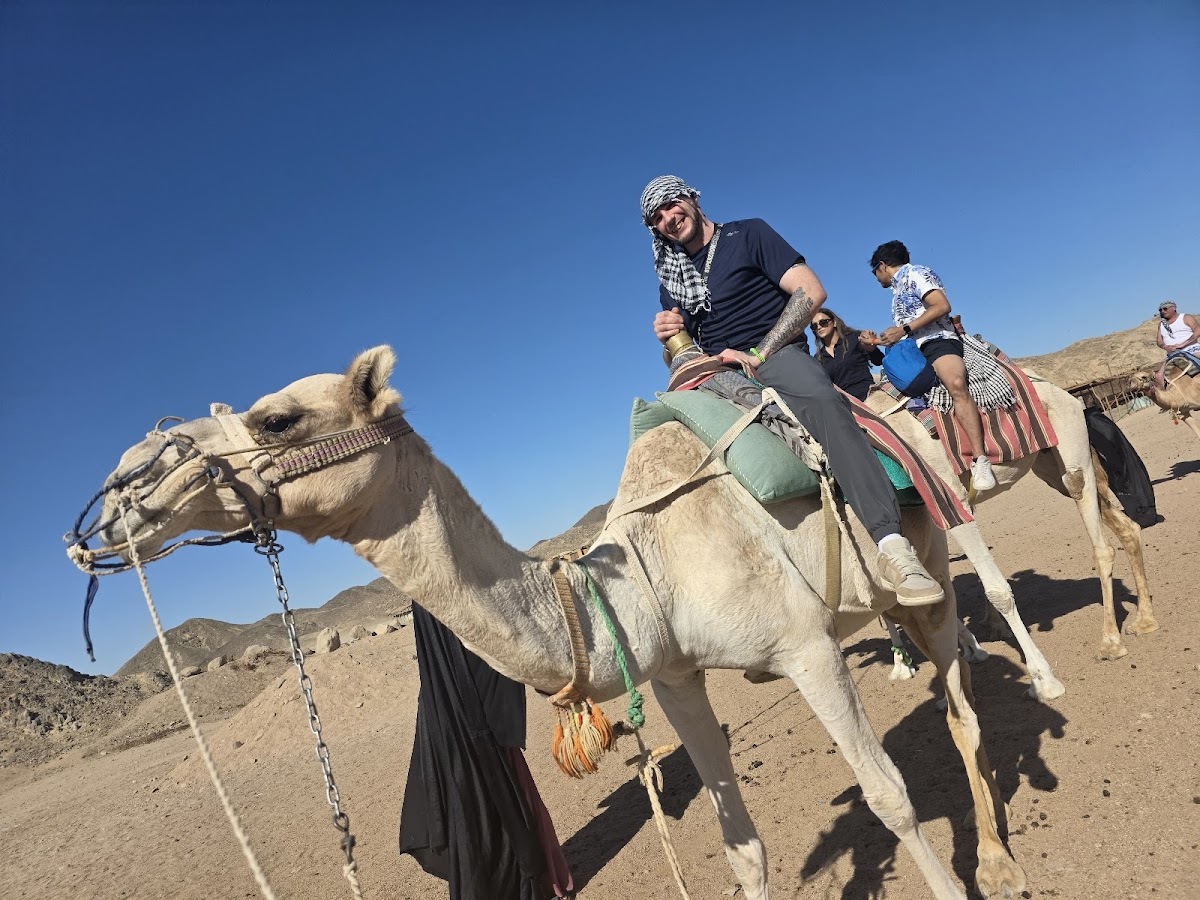 Canary Tours Egypt — tour operator in Sheraton st، Hurghada 1, Egypt – photo 4