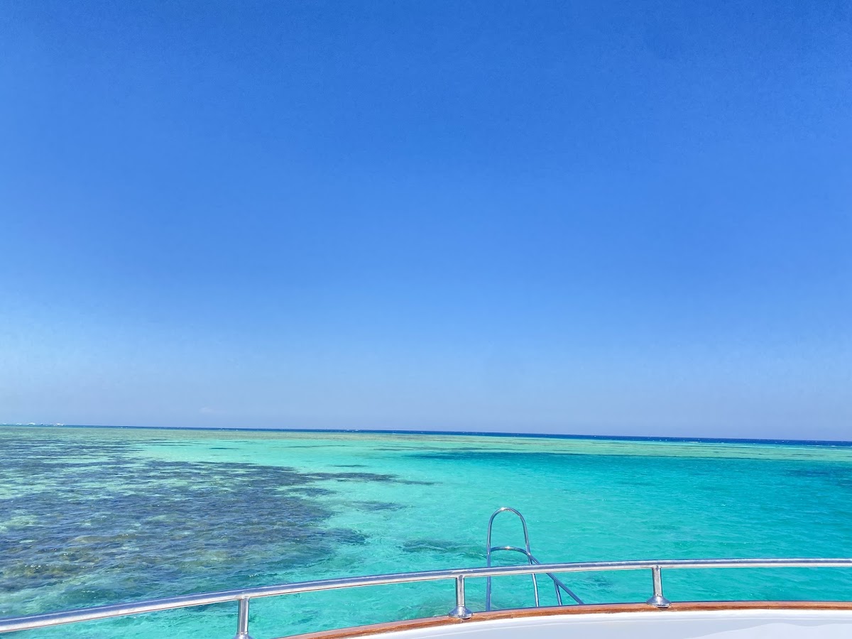 Canary Tours Egypt — tour operator in Sheraton st، Hurghada 1, Egypt – photo 1